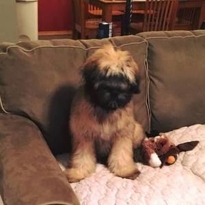 Meet your Posher, Jean